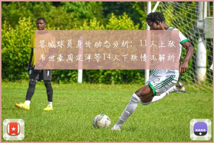 蓉城球员身价动态分析：11人上涨韦世豪周定洋等14人下跌情况解析