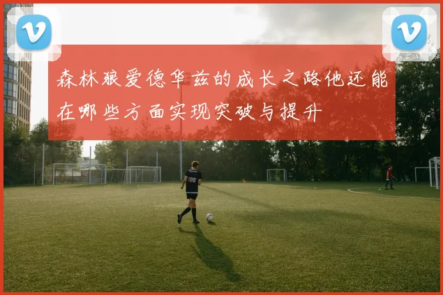 森林狼爱德华兹的成长之路他还能在哪些方面实现突破与提升
