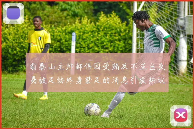 前泰山主帅郝伟因受贿及不正当交易被足协终身禁足的消息引发热议